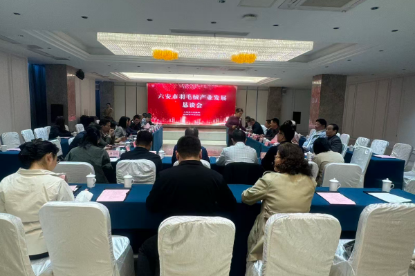 兴宝羽绒科技有限公司受邀参加由六安市人民政府组织召开的六安市羽毛绒产业发展恳谈会