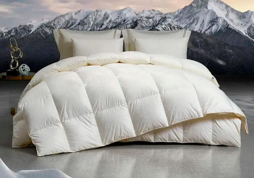 兴宝科技小编教您六个妙招，买到“真正”的羽绒被！