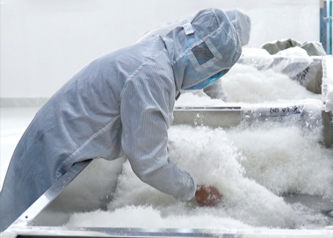 兴宝羽绒小编告诉大家鹅绒、鸭绒谁更好