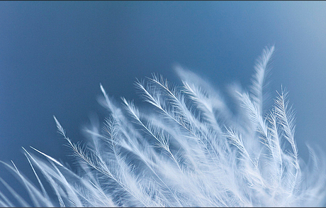 安徽兴宝羽绒科技有限公司小编为大家带来最新号外：水洗羽绒羽毛进口需持有效&ldquo;在华注册编号&rdquo;