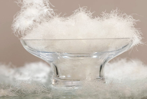 兴宝羽绒小编告诉你羽绒制品因为这些特点更受欢迎