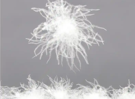 羽绒棉和羽绒有什么区别？兴宝羽绒小编解密挑选羽绒服技巧