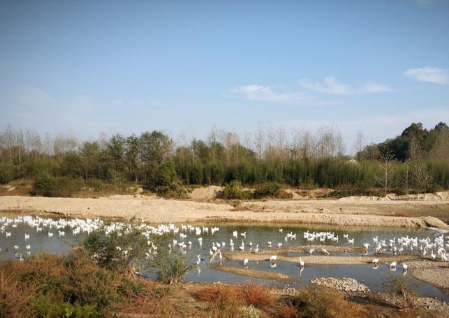 兴宝羽绒小编告诉你别看白鹅绒轻，鹅绒是个宝