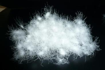 兴宝羽绒小编告诉大家羽绒有多少好处